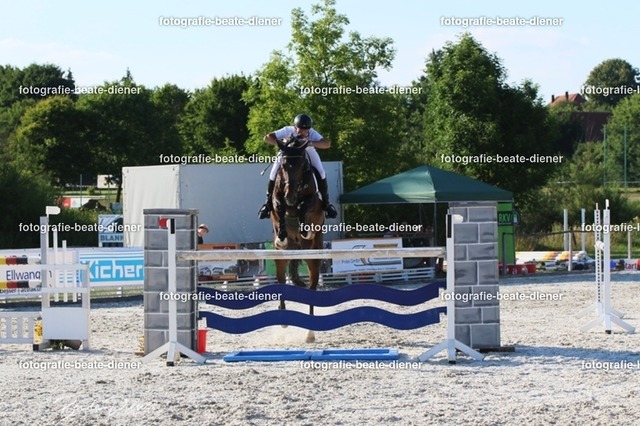 OHT 2022 Röhlingen (172) | Fotografie, Tiere, Hunde, Katzen, Pferde, Sportfotografie, Fotosession, Tierfotografie, Turnierfotografie, Fotografin, Fotograf - Realisiert mit Pictrs.com