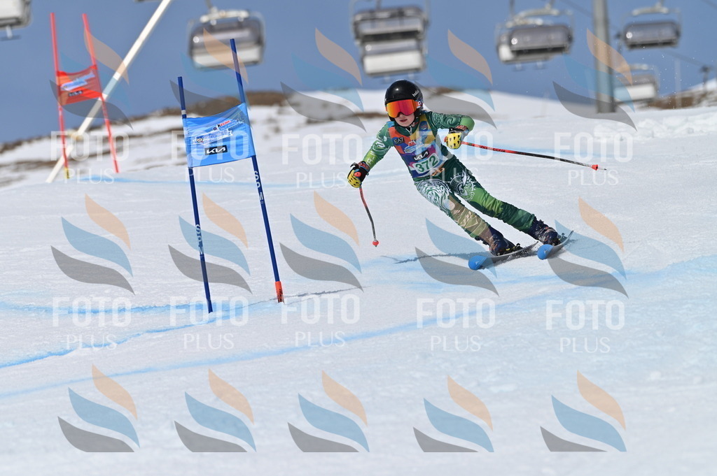 BGV_7350 | holidayphoto