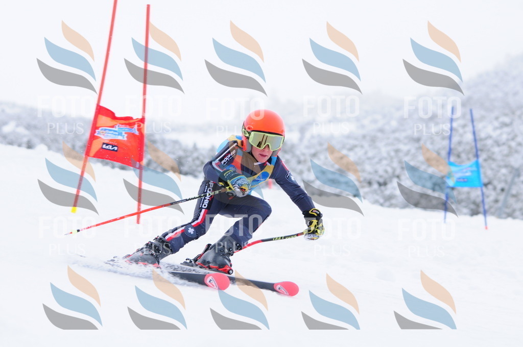 C2958 | holidayphoto