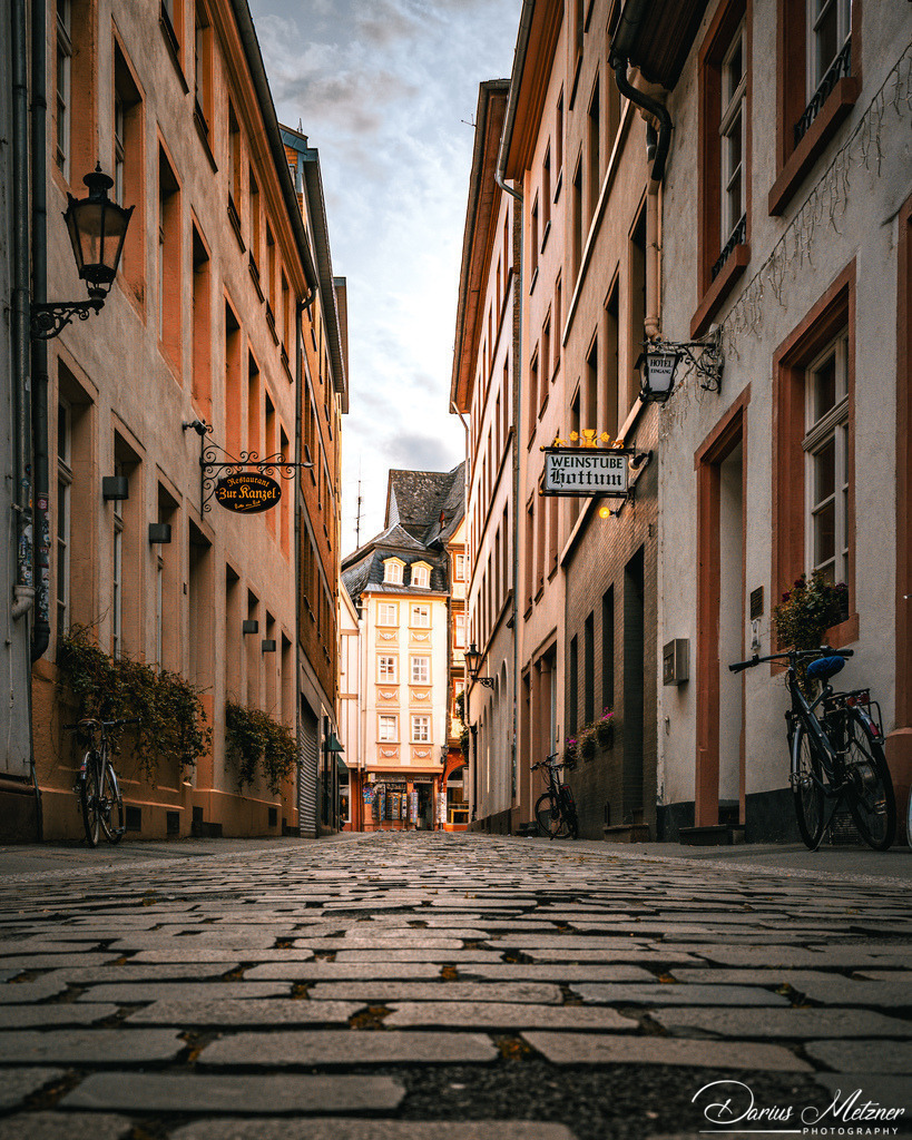 DSC_3361 2 | Fotografien, Fotos und Bilder aus Mainz, Frankfurt, Wiesbaden und anderen Orten auf der Welt - Fotografiert von Darius Metzner
