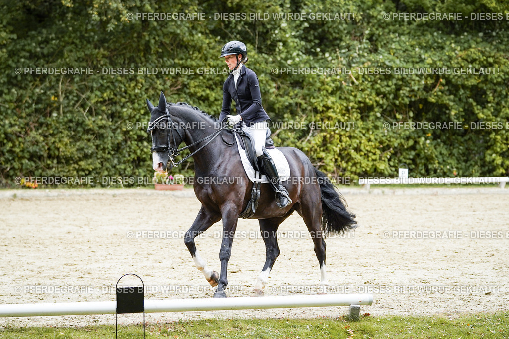 DSC06110 | Pferdegrafie