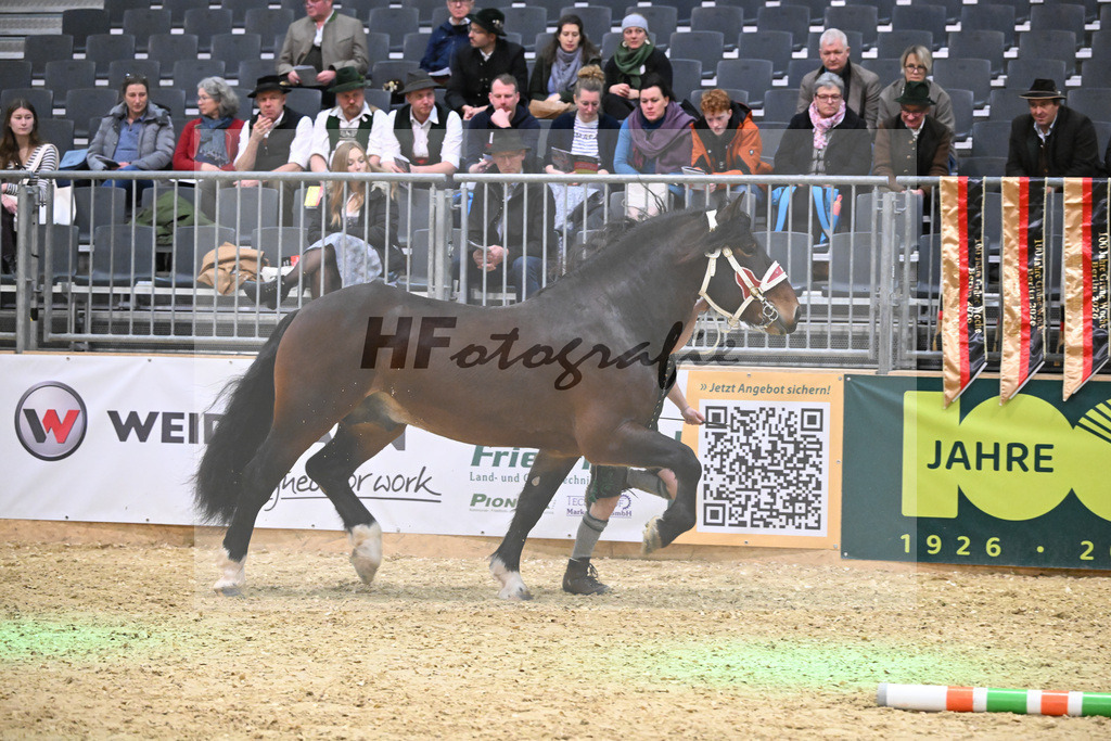 Kat-Nr. 9 Rubino III W v. Rivero_Fritzmeier_1260159 | hf-fotografie - Realisiert mit Pictrs.com
