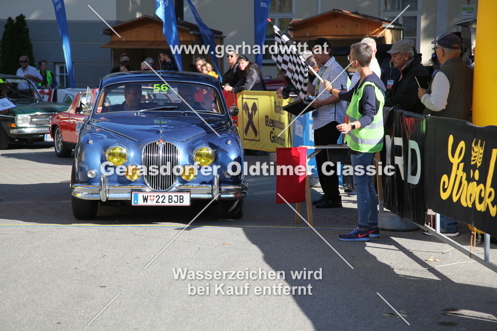 IMG_4255 | Gerhard Witt