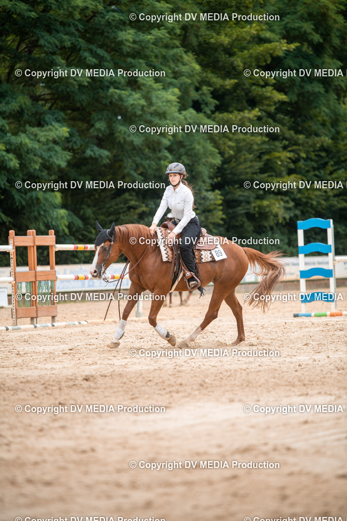 ZS2_8608 | dv-media-shop - Realisiert mit Pictrs.com