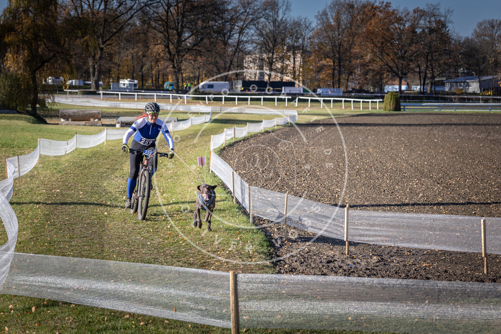 CaniXpix_DV3A4817 | Hundefotografie, Tierfotograf, Pfotenfotografie, Fotoshooting Hund, Hunde Portrait, Hundesport, Hundeportraits, Heideshooting, Hunde, Sportfotograf, Hundefotograf, Turnierhundsport, THS,  - Realisiert mit Pictrs.com