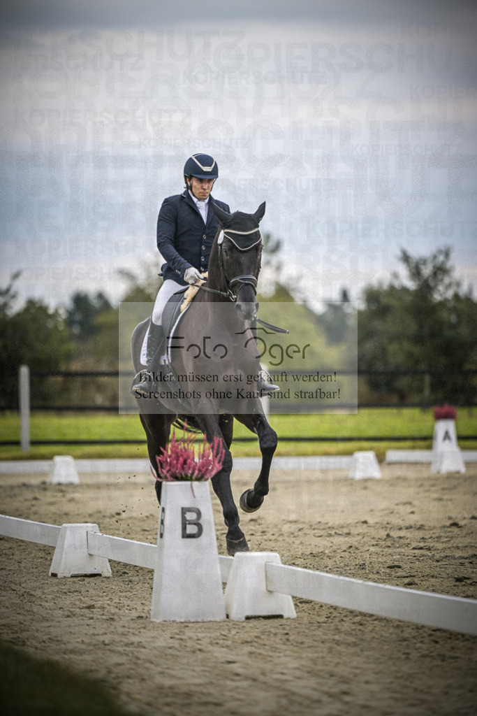 DOS_1433 | Entdecke hochwertige Reitturnierfotos von Foto Oger. Professionell, emotional und authentisch – jetzt Lieblingsmomente im Shop bestellen.Deutschlandweite Turnierfotografie. - Realisiert mit Pictrs.com