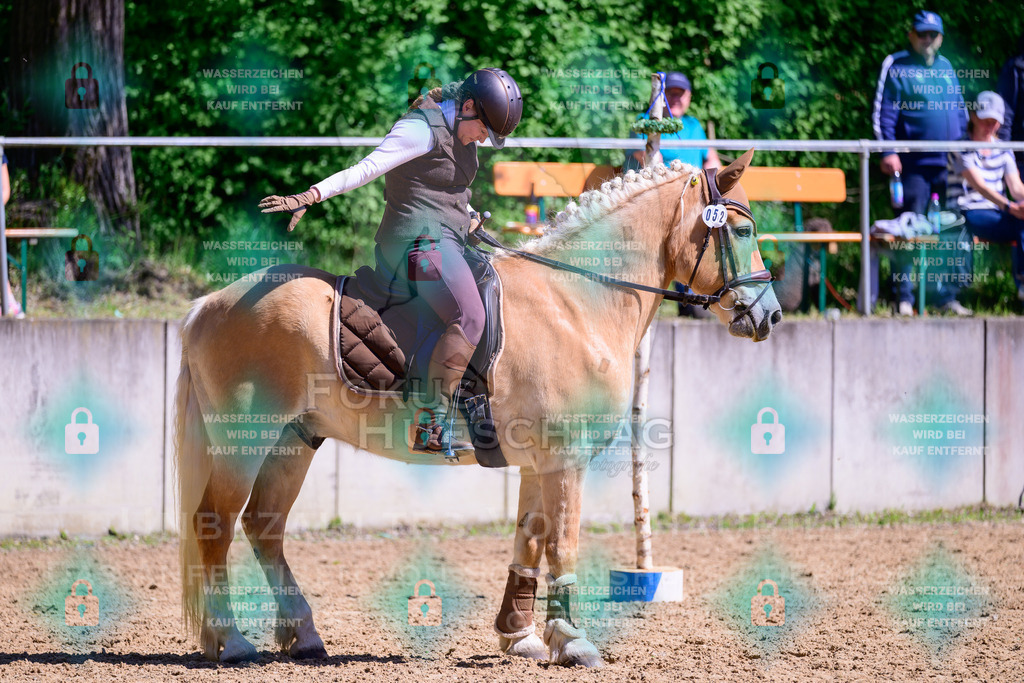 01052026-Giesenbach-02-Stiltrail-0481 | Fokus Hufschlag Fotografie - Realisiert mit Pictrs.com