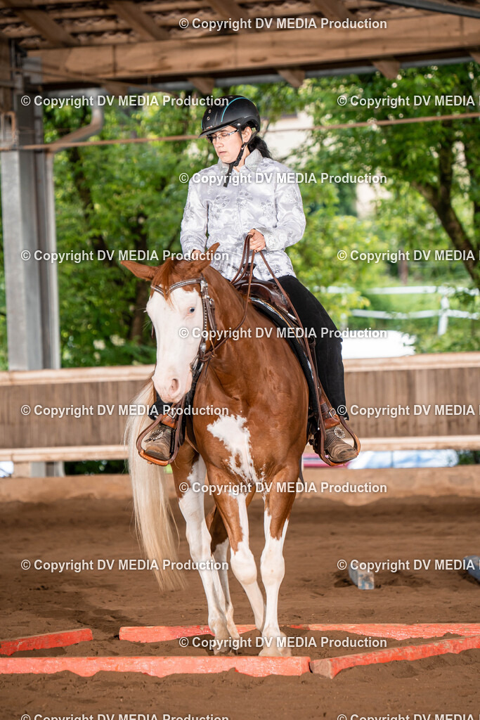 Erbach Tag 1-177 | dv-media-shop - Realisiert mit Pictrs.com