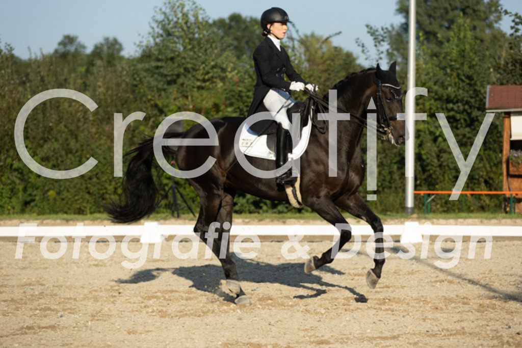 IMG_6939 | Creatify Fotografie