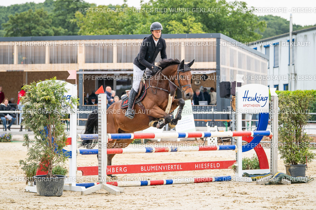 DSC09425 | Pferdegrafie