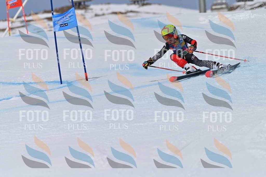 BGV_6063 | holidayphoto