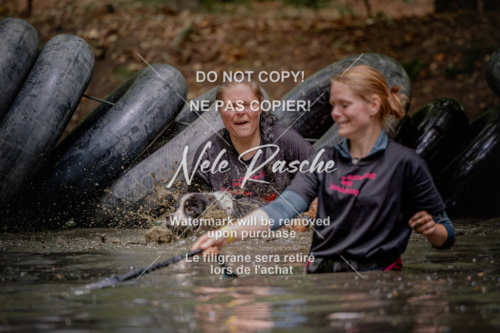 nelerasche_SaWingst1530-1600_135 | nelerasche