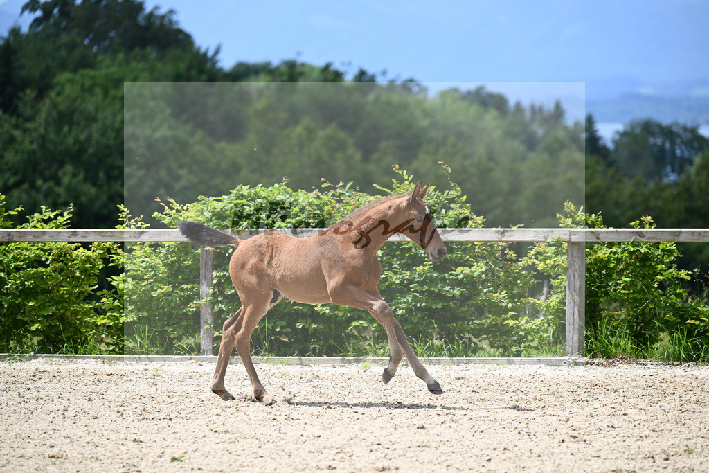 Vingino x Lavall II_HF_Zuchthof Meindl_19240410 | hf-fotografie - Realizzato con Pictrs.com