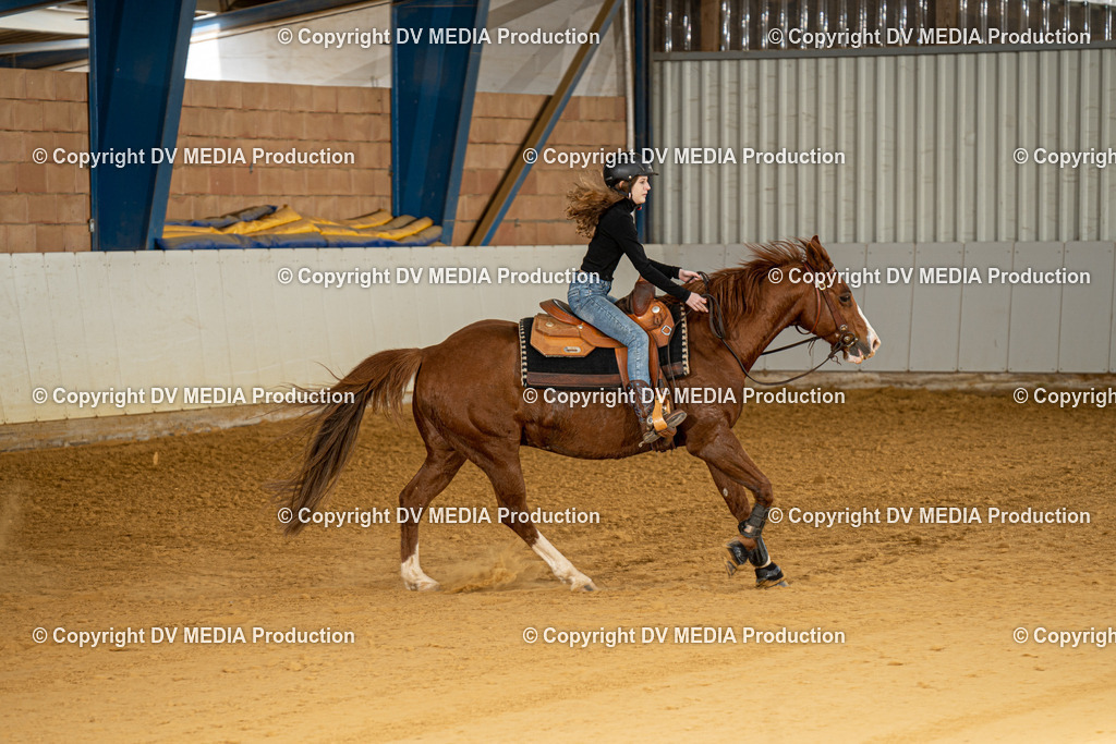 MIT00100 | dv-media-shop - Realisiert mit Pictrs.com