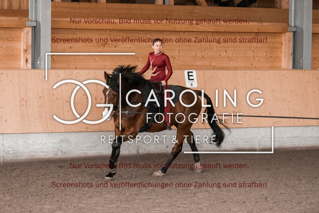 DSC_2019 | Turnierfotografin Carolin Gieschke,Reitsport Turnierfotografie Carolin G Fotografie | Turnierfotos aus Kirchheim/Teck, Esslingen, Stuttgart und dem Bodenseekreis