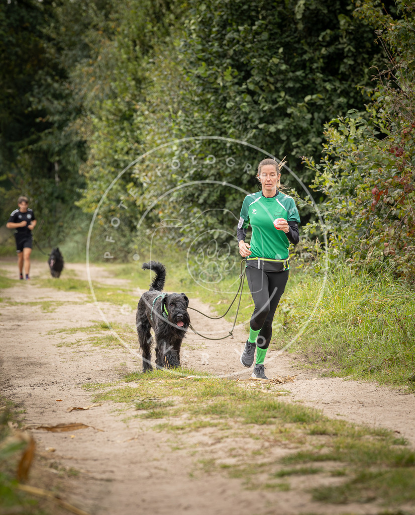 Pfotenfotografie_DV3A7932 | Hundefotografie, Tierfotograf, Pfotenfotografie, Fotoshooting Hund, Hunde Portrait, Hundesport, Hundeportraits, Heideshooting, Hunde, Sportfotograf, Hundefotograf, Turnierhundsport, THS,  - Realisiert mit Pictrs.com