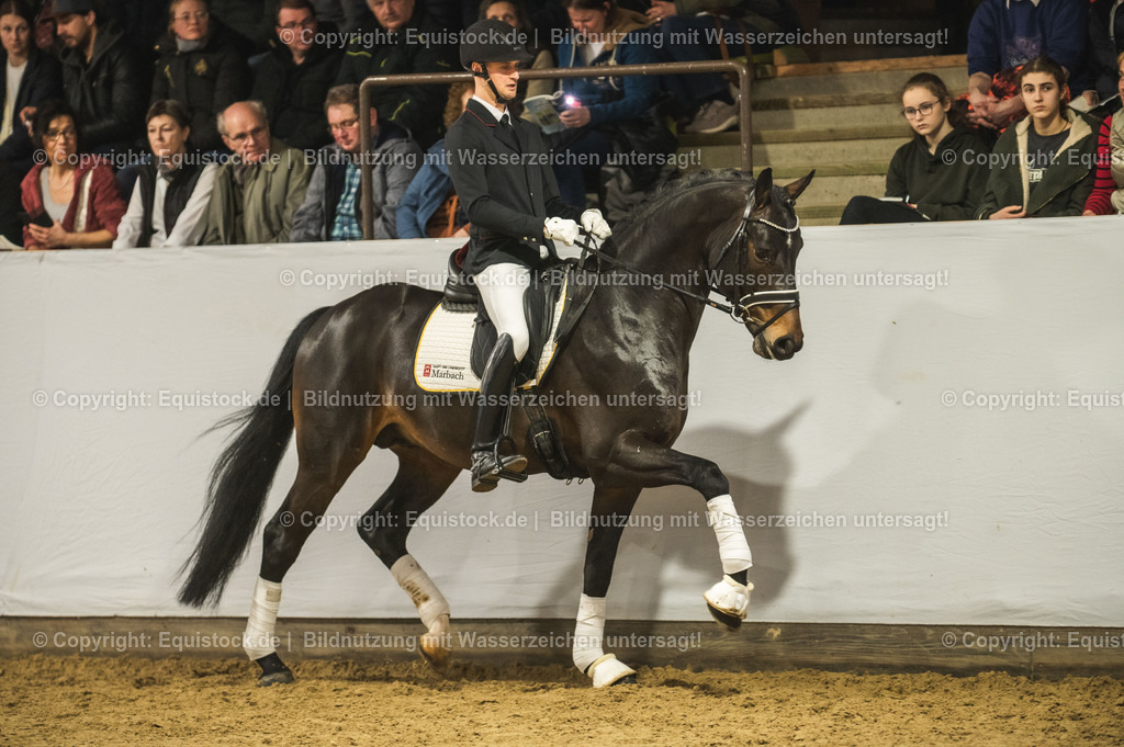 20240302_Hengstvorstellung_Marbach_TOMsPiC_0390 | equistock