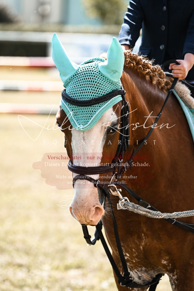 DSC_6817 | Pferde- und Turnierfotografie in Westsachsen. Pferdeportraits, Auftragszeichnungen und intuitive Kunst.