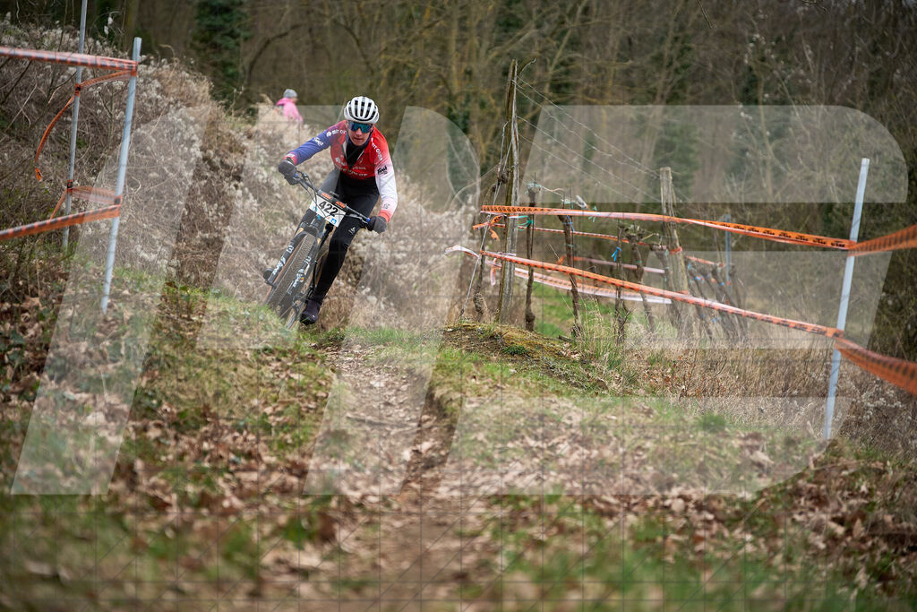 34. KTM Kamptal Trophy  | ZÖBING, Österreich – 2026-03-28: 34. KTM Kamptal TrophyFoto: © 2026 Martin Bihounek - MB Creative e.U.