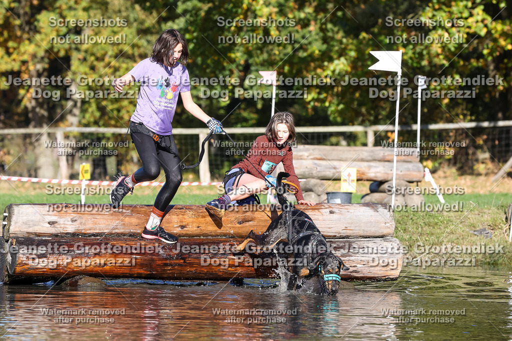 Dog Paparazzi - Strongdog 10-25-8928 | Dog Paparazzi Jeanette Grottendiek Fotografie & Videografie - Realisiert mit Pictrs.com