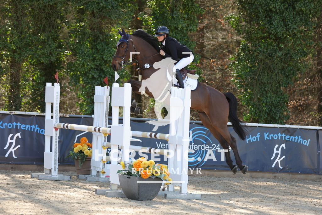 0P6A8519 | Willkommen bei Brunnmayr - Design & Fotografie – Ihrem Spezialisten für Reitturniere und Pferdeveranstaltungen in Oberösterreich, Salzburg und Bayern! Seit über 17 Jahren sind wir leidenschaftlich dabei.