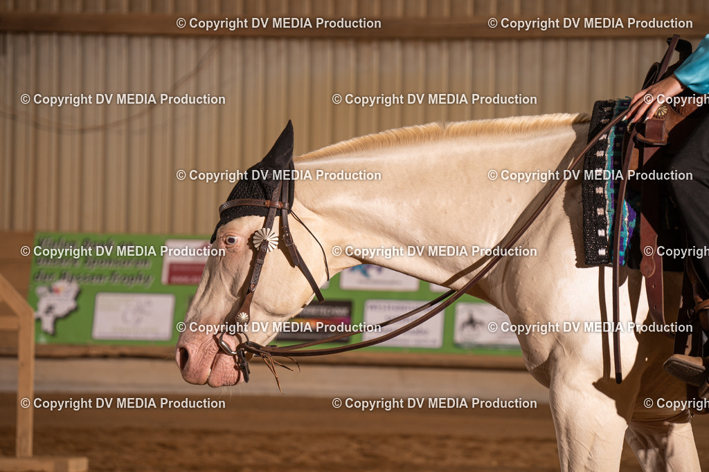 NID00835 | dv-media-shop - Realisiert mit Pictrs.com