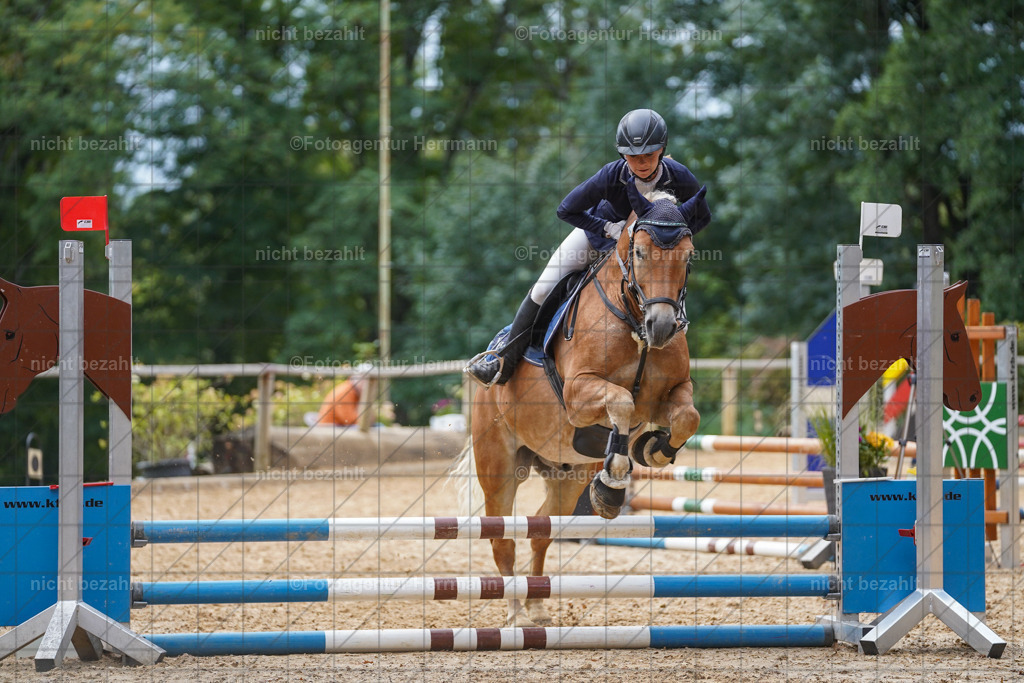 20231008-SN_01004 | Diessen am Ammersee, 2023, Dressur- und Springturnier, Reitsport, Turnierfotografie, Pferdebilder, Reitbilder, Turnierfotografen Bayern, Fotoagentur Herrmann