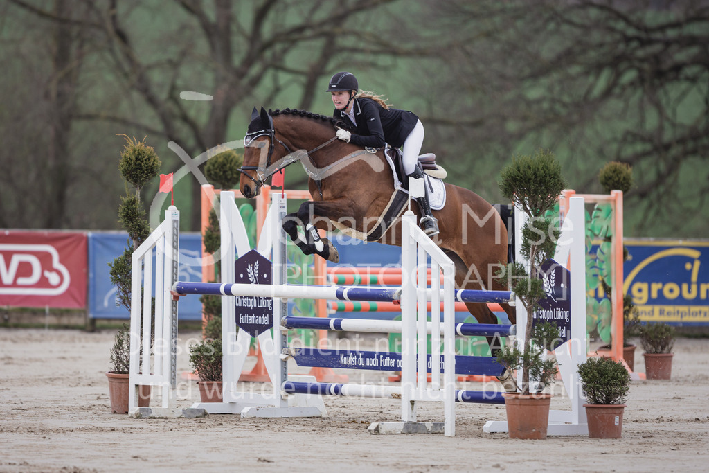 230408_Frühlingsfest_Stil-L-1-803 | Deine schönsten Turniermomente als professionelle Fotos! Entdecke hochwertige Pferdesport-Fotografie im Online-Shop. Jetzt Fotos finden & bestellen!