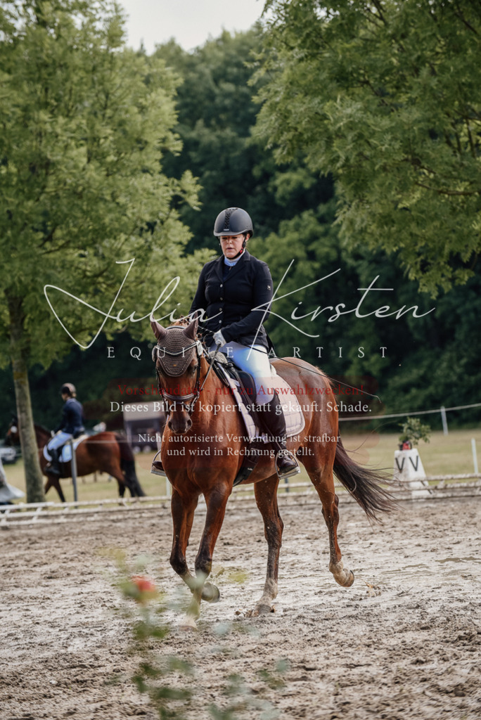 DSC_9263 | Pferde- und Turnierfotografie in Westsachsen. Pferdeportraits, Auftragszeichnungen und intuitive Kunst.