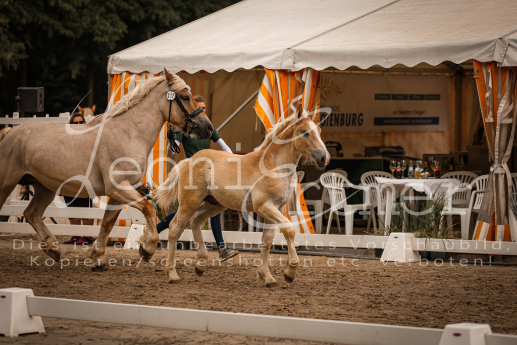 SaHF00060 | Leoni Ertmer Photography - Realisiert mit Pictrs.com