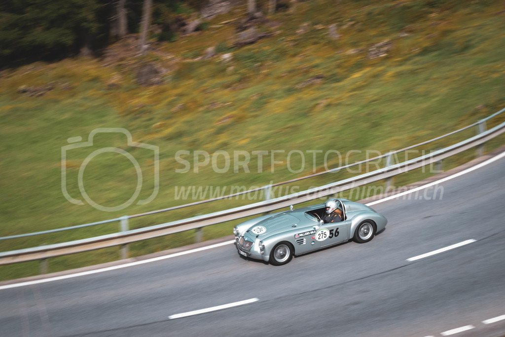21. Arosa ClassicCar 2025 - 7. =September= 2025 | Iris Kramer aus Erlenbach (SUI) in einem MG A Racing aus dem Jahre 1956 mit Startnummer 275 am Arosa ClassicCar 2025 in der Kategorie Classic Trophy..@arosaclassiccar, @arosa.official, #arosaclassiccar, #arosa, #76curves, #classiccarBild: Sportfotografie Markus Aeschimann | www.markus-aeschimann.ch - Realisiert mit Pictrs.com