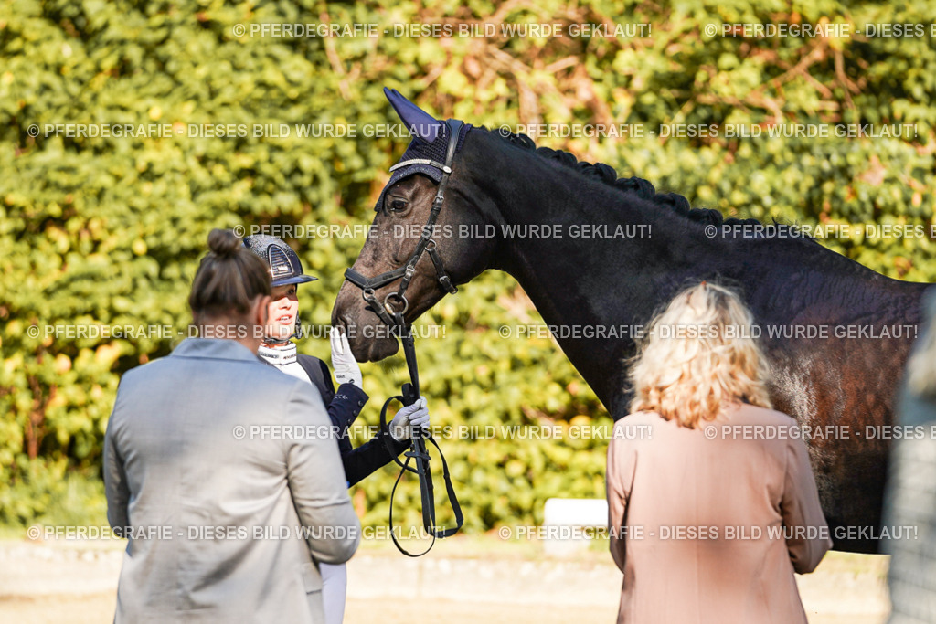 DSC06507 | Pferdegrafie