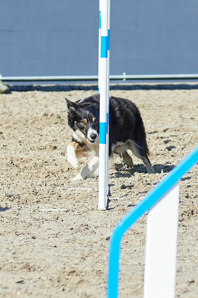 580A0155 | Peter Fridle Fotografie - Realisiert mit Pictrs.com