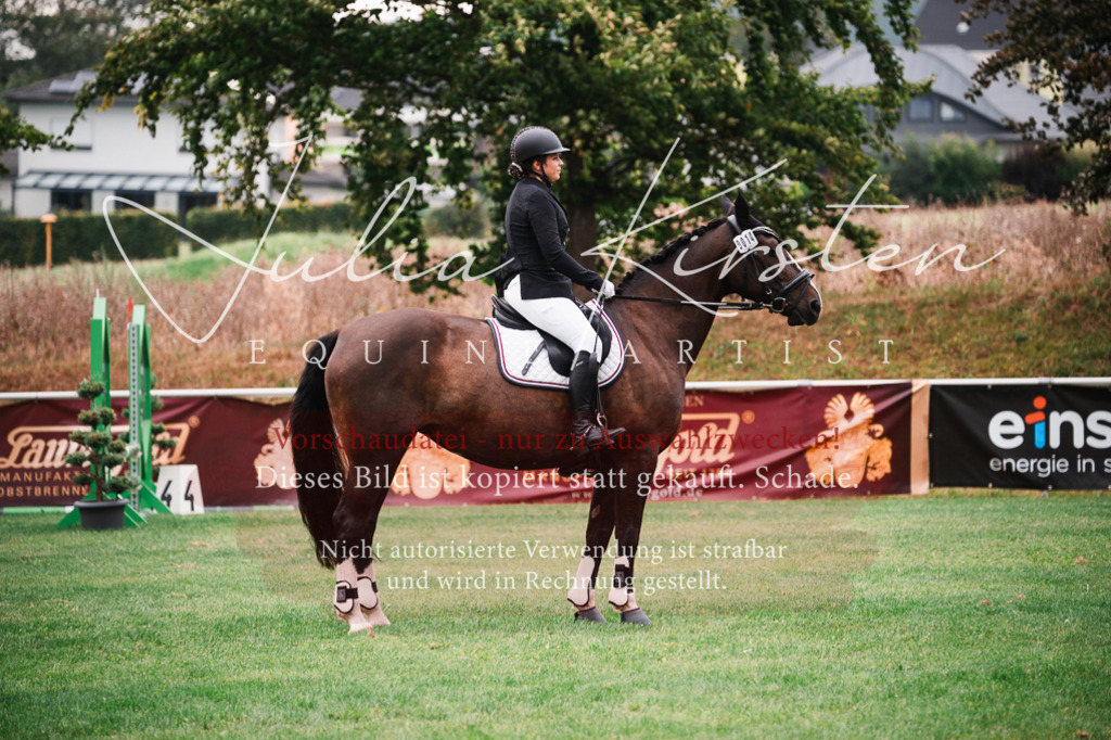 DSC_5825 | Pferde- und Turnierfotografie in Westsachsen. Pferdeportraits, Auftragszeichnungen und intuitive Kunst.