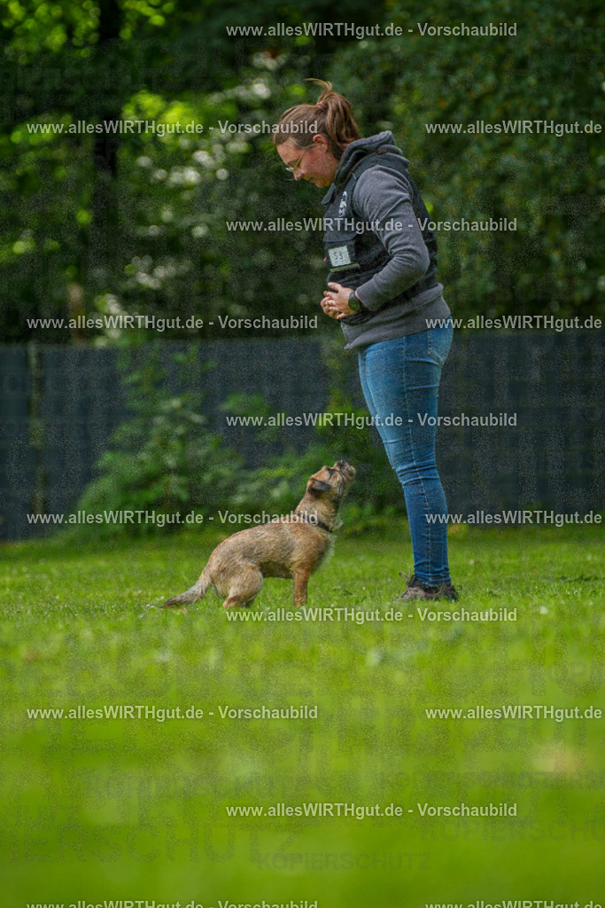 @allesWIRTHgut_Tierfotografie - www.allesWIRTHgut.de - 7R501926 | Professionelle Tierfotografie in Mönchengladbach von Daniel Wirth (allesWIRTHgut). Liebevolle & natürliche Bilder von Hunden & Katzen für unvergessliche Erinnerungen.