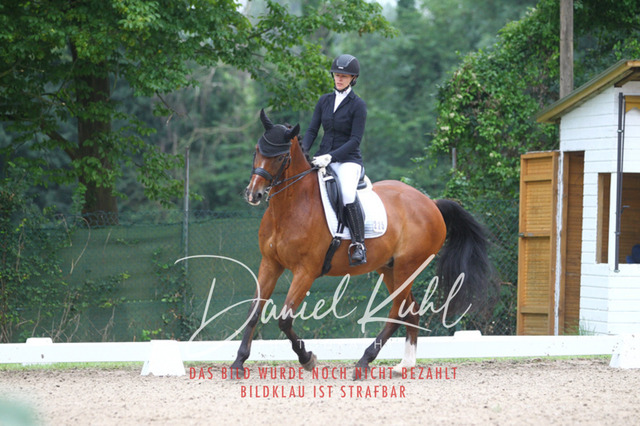 DKP40063 | Turniersportfotografie; Pferdefotografie; Dressurfotografie