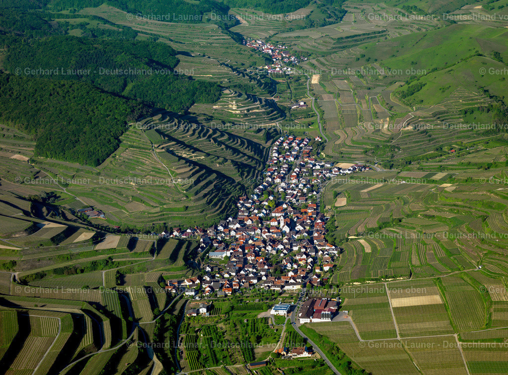 3096060 | Oberbergen, Kaiserstuhl