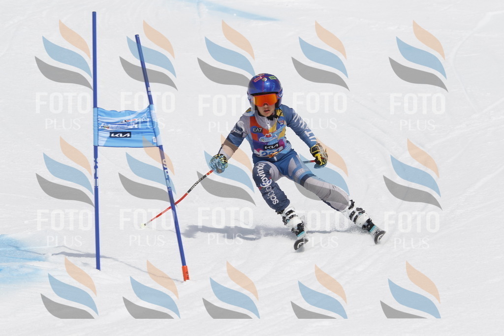 _U3G2391 | holidayphoto