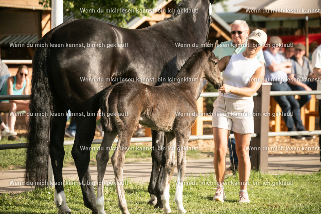 598A7439 | photographylinaismer - Realisiert mit Pictrs.com