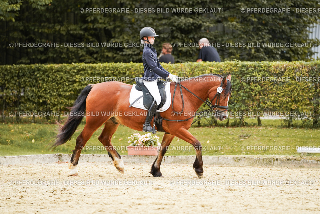 DSC00268 | Pferdegrafie