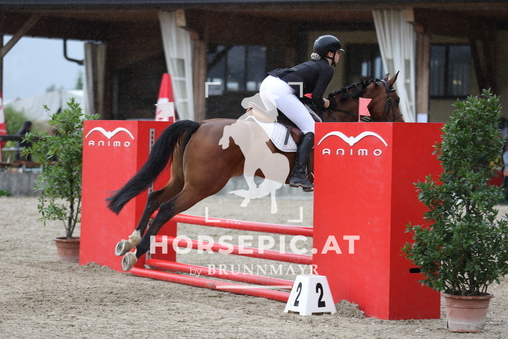 0P6A0452 | Willkommen bei Brunnmayr - Design & Fotografie – Ihrem Spezialisten für Reitturniere und Pferdeveranstaltungen in Oberösterreich, Salzburg und Bayern! Seit über 17 Jahren sind wir leidenschaftlich dabei.