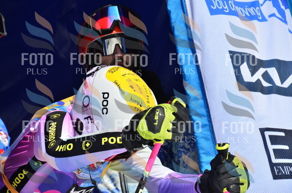 _ELE0782 | holidayphoto