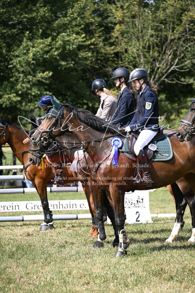 DSC_0713 | Pferde- und Turnierfotografie in Westsachsen. Pferdeportraits, Auftragszeichnungen und intuitive Kunst.