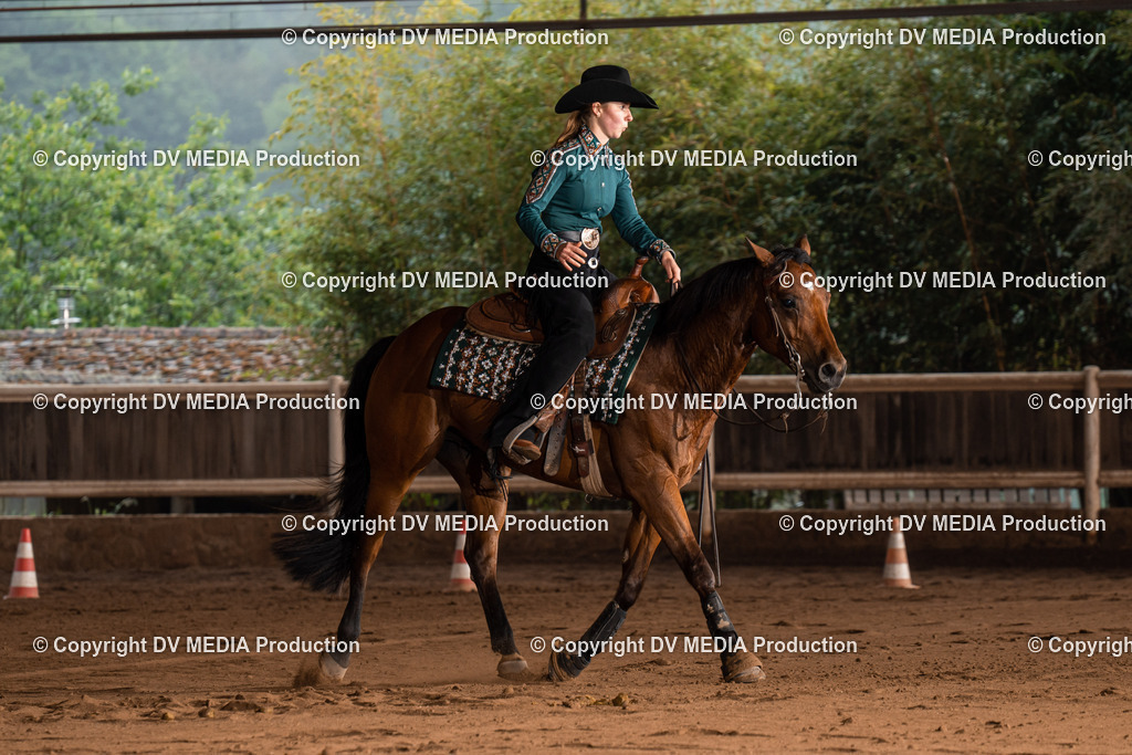 Erbach Tag 3-511 | dv-media-shop - Realisiert mit Pictrs.com