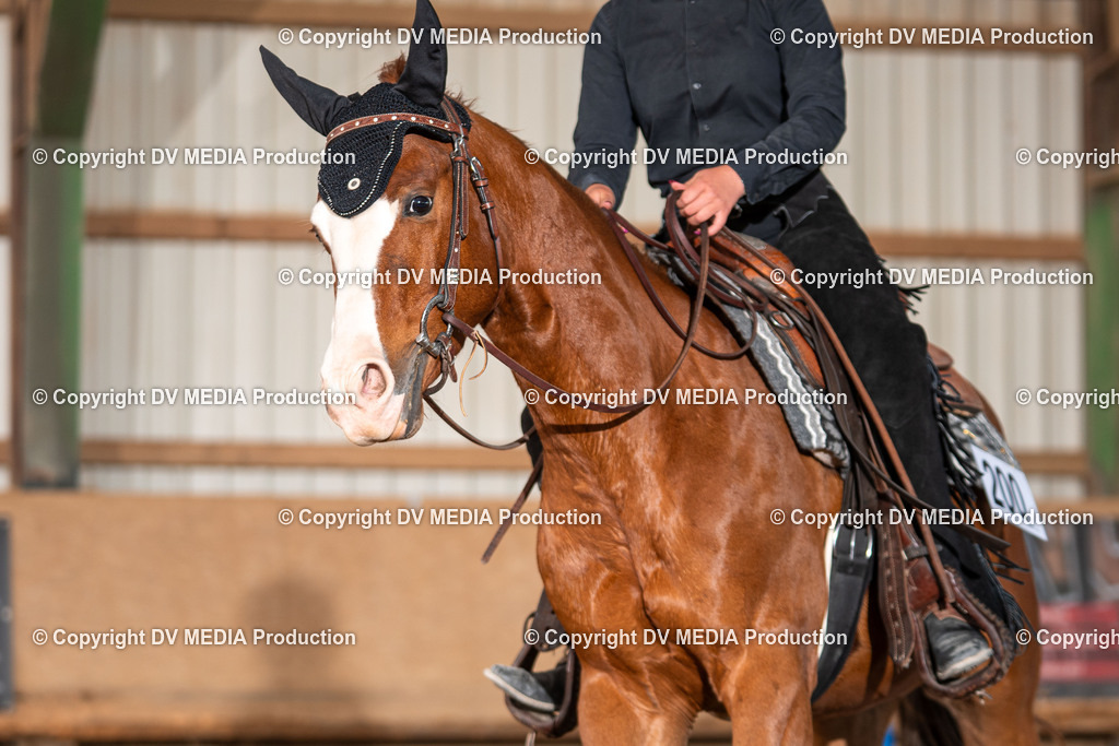 Balingen Tag 1-1894 | dv-media-shop - Realisiert mit Pictrs.com