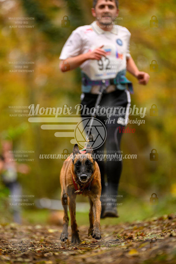 MompixPhotography_Bischwiller24_SA_Canicross-146 | PayLife
