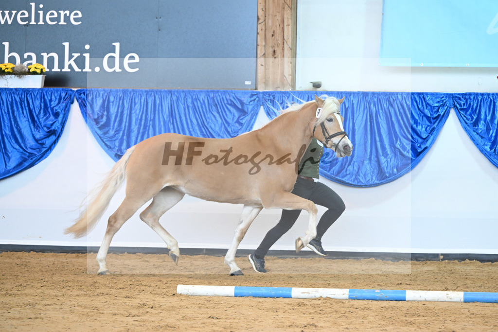 Kat-Nr. 7 Daria v. Armani Ass_Obermaier_60221132 | hf-fotografie - Realisiert mit Pictrs.com