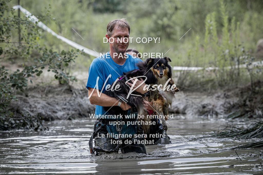nelerasche_so1030-1100_218 | nelerasche