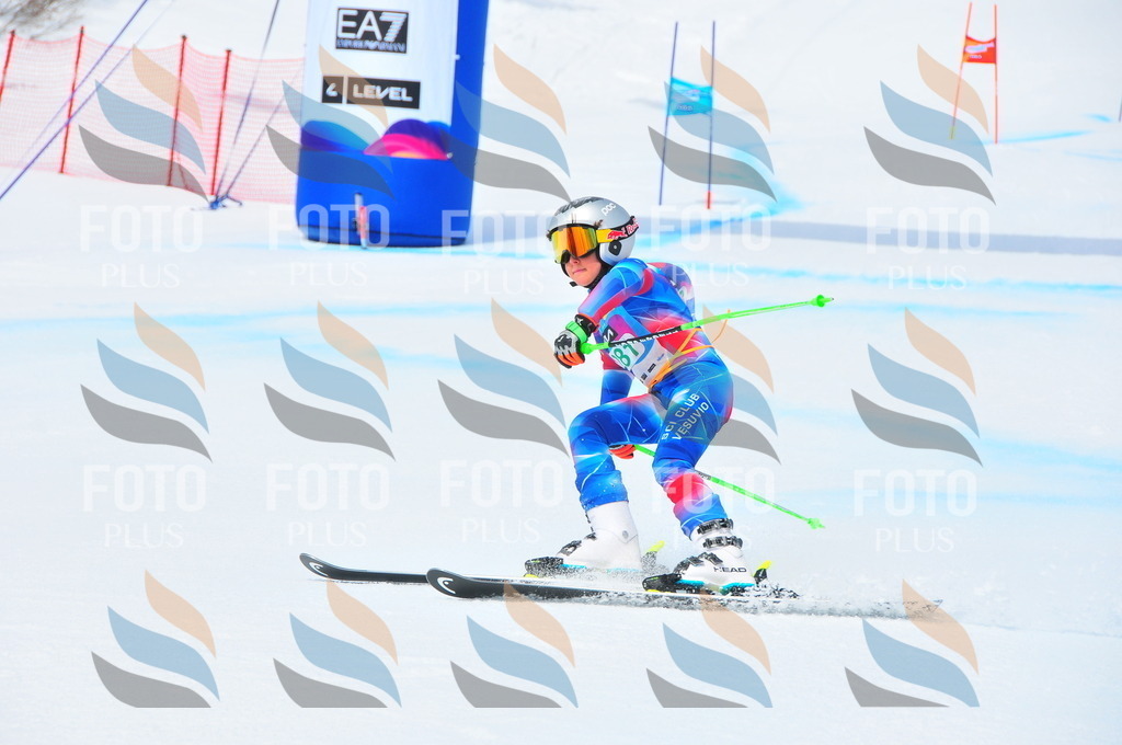 DSC_2617 | holidayphoto