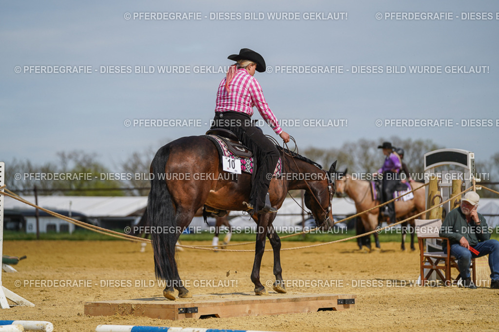 DSC05166 | Pferdegrafie